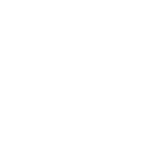 荣新商标交易网_盛臣 SENCHIE