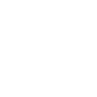 荣新商标交易网_帕尔麦斯 PYRAMUS