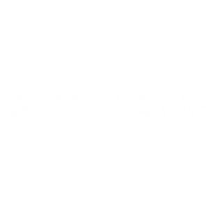 荣新商标交易网_AKITE LAVIE