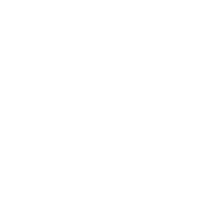 荣新商标交易网_规革 GVZGOL