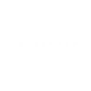 wisenvoy
